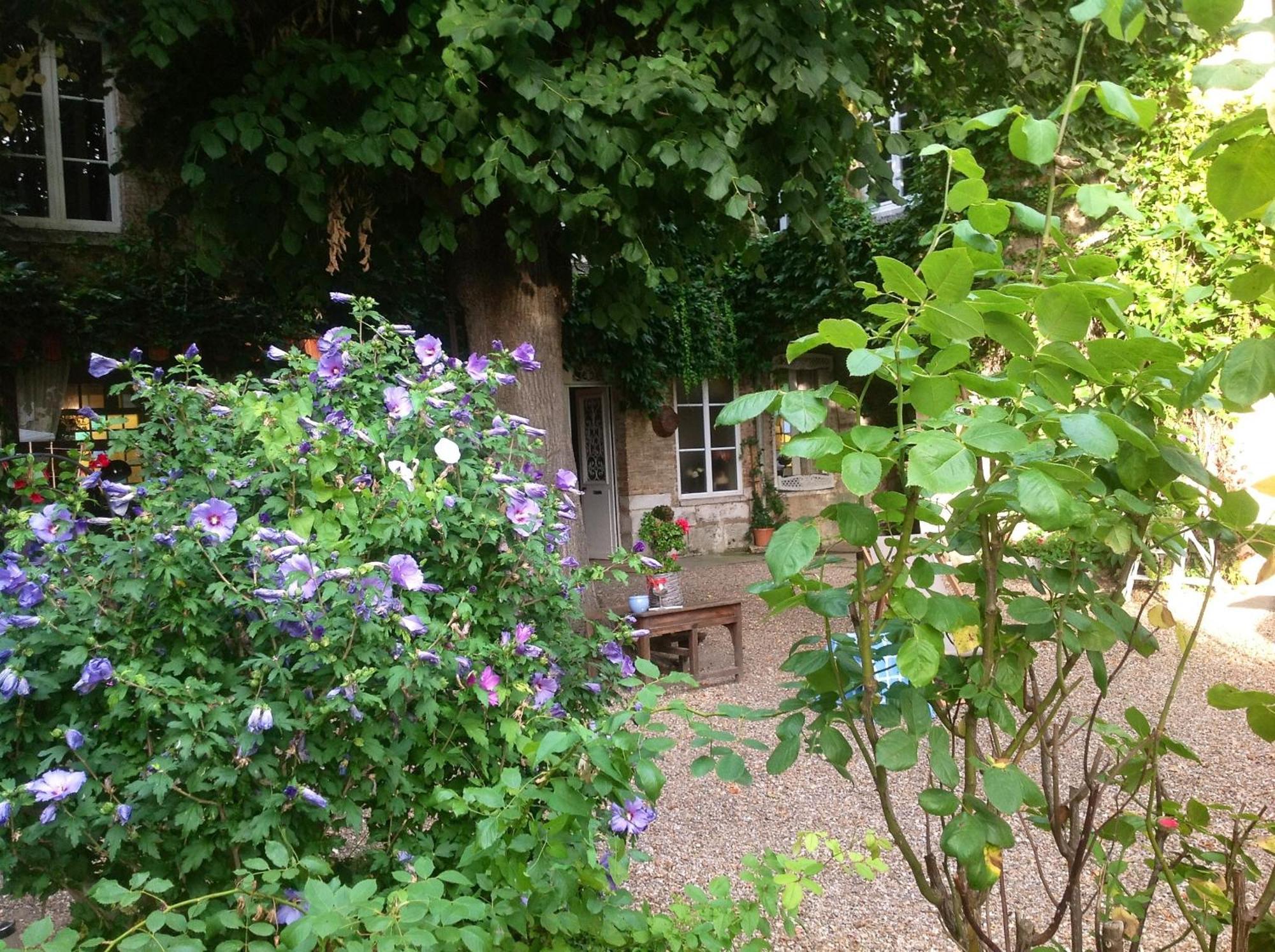לס אנדליס Chambres D'Hotes La Villa Alienor מראה חיצוני תמונה